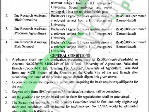 Latest Online Form For Jobs At University Of Agriculture Faisalabad