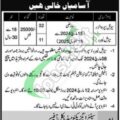 Latest Job Openings At The Cmh Jhelum Station Health Organization