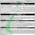 Latest Job Opportunities In Industries Commerce And Investment Department Punjab