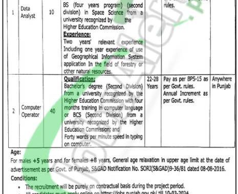 New Job Openings In Lahore For Forest Department Punjab 2024