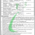 Newest Advertisement For Faculty Staff Jobs At Bannu Medical College