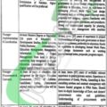 Online Application Form For 2024 Punjab School Education Department Job