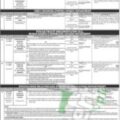 Ppsc Online Form For Assistant Director Jobs 2024 In The