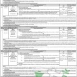 Ppsc Professor Jobs 2024: Apply Online And Access Test Syllabus