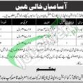 Rawalpindi Cantt 2024 Local Labour Jobs Available At Station Health