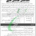 Schedule For Supreme Court Of Ajk Jobs 2024 Test &