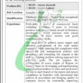 2024 Latest Job Openings At Sindh Bank Apply Now