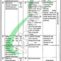 2024 Mayo Hospital Lahore Jobs: Model Pharmacy Eligibility Requirements