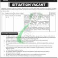 Application Form For Jobs 2022 At Ministry Of Federal Education