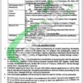 Application Form For Jobs At Muhammad Nawaz Sharif University Of