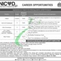 Apply Online For Nicvd Jobs 2024 At National Institute Of