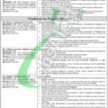 Apply For Punjab Provincial Cooperative Bank Jobs 2024 Through The