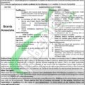 Career Opportunities In Punjab Population Innovation Fund (ppif) Jobs 2023