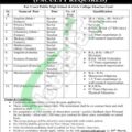 Current Job Openings At Cantonment Board Kharian Cantt 2024