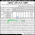 Download 2024 Application Form For Jobs At Hangu District And