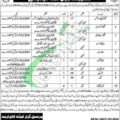 Download Application Form For Cadet College Turbat Jobs In Balochistan