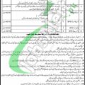 Download Application Form For Karak District And Session Court Jobs