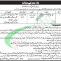 Download Online Application Form For Paec Foundation Jobs 2024