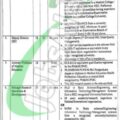 Download Online Rawalpindi Medical University Application Form For Rmu Jobs