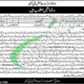 Download The 2024 Application Form For Jobs At Pakpattan District