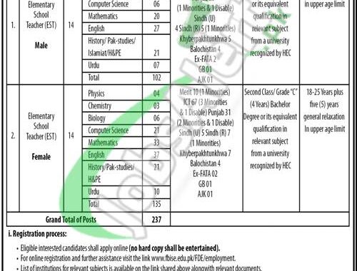 Download The Online Form For Federal Directorate Of Education Jobs