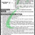 Download The Application Form For Wapda Lesco Jobs 2024 At