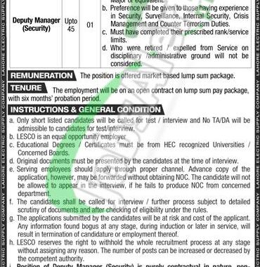 Download The Application Form For Wapda Lesco Jobs 2024 At