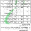 Latest Advertisement For Advocate General Punjab Jobs 2024