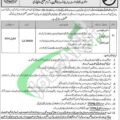 Latest Advertisement For District Health Authority Rawalpindi Jobs 2024 In