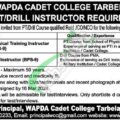 Latest Advertisement For Jobs At Wapda Cadet College Tarbela 2024