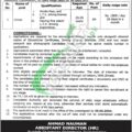 Latest Advertisement For Jobs In Punjab Overseas Pakistani Commission 2024