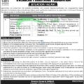 Opf Jobs Advertisement 2024 Application Form For Overseas Pakistanis Foundation