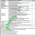 Pcsir Jobs 2024: Pakistan Council Of Scientific And Industrial Research