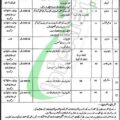 Apply & Eligibility Criteria For Job Opportunities At Social Welfare