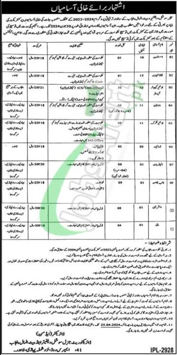 Apply & Eligibility Criteria For Job Opportunities At Social Welfare