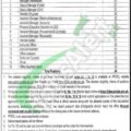 Download Application Form For Punjab Power Development Company (ppdcl) Jobs