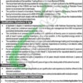 Download Online Application Form For Wapda Ntdc Jobs 2024 From