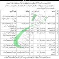 Employment Opportunities At Hajj Directorate Lahore 2024 Under The Oversight