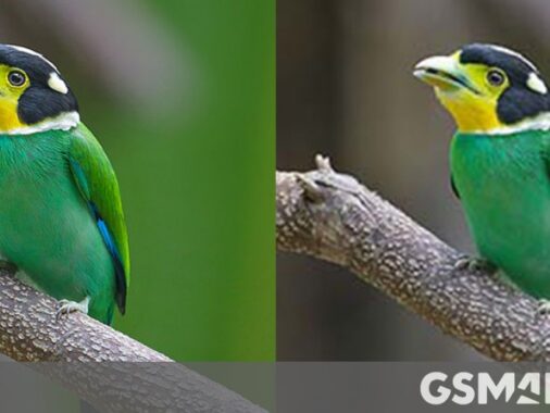 Google Introduces Improved Jpeg Image Encoder With Enhanced Quality And