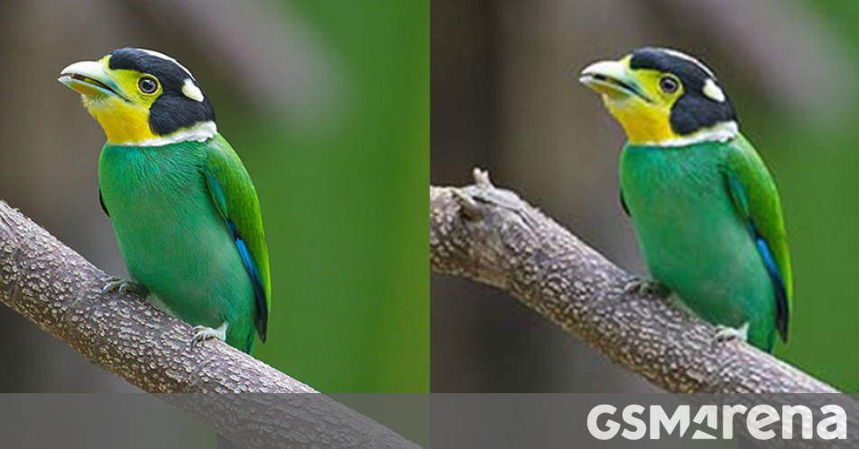 Google Introduces Improved Jpeg Image Encoder With Enhanced Quality And