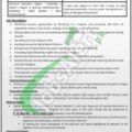 Latest Advertisement For Jobs At Paec In Islamabad's Po Box