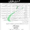 Latest Advertisement For Jobs In Multan Under Ministry Of Religious