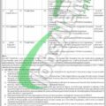 Latest Advertisement For Nts Fesco Jobs In 2024