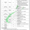 Latest Job Openings For Cantonment Board 2024 Apply Now!