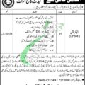 Latest Job Opportunities For Non Teaching Staff At Cadet College Swat