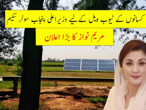 Rewrite This Title With Different Wordingcm Punjab Solar Scheme For