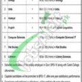 Rewrite This Title With Different Wordingcadet College Pasrur Jobs 2024