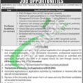 Rewrite This Title With Different Wordingnuml Islamabad Jobs April 2024