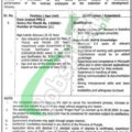 Rewrite This Title With Different Wordingwomen Development Department Punjab Jobs