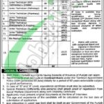 Rewrite This Title With Different Wordinggmc Gujranwala Jobs 2024 Gujranwala